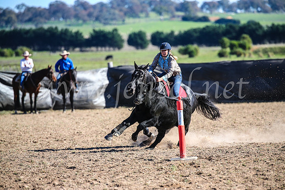 GoulburnCampdraft2017_4171