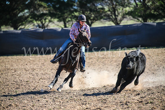 GoulburnCampdraft2017_4236