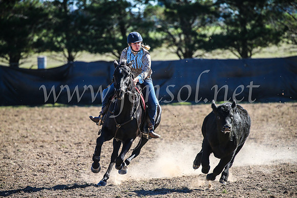 GoulburnCampdraft2017_4157