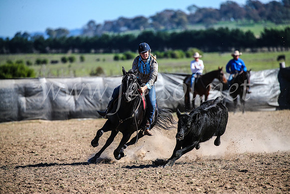 GoulburnCampdraft2017_4168