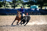 GoulburnCampdraft2017_4099