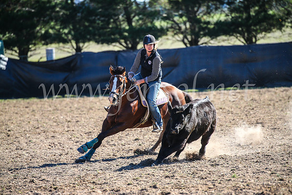GoulburnCampdraft2017_4188