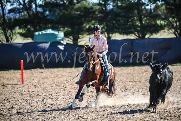 GoulburnCampdraft2017_4124