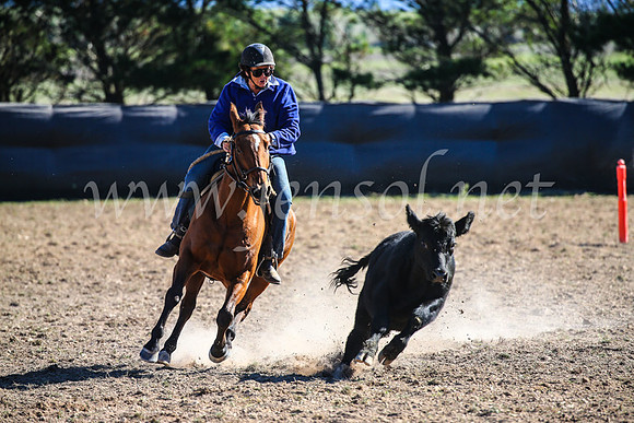 GoulburnCampdraft2017_4092