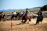 GoulburnCampdraft2017_4132