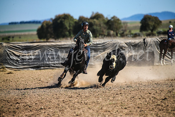 GoulburnCampdraft2017_4207