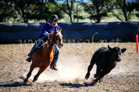 GoulburnCampdraft2017_4095
