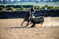 GoulburnCampdraft2017_4140