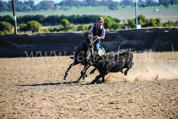 GoulburnCampdraft2017_4140