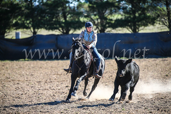 GoulburnCampdraft2017_4163
