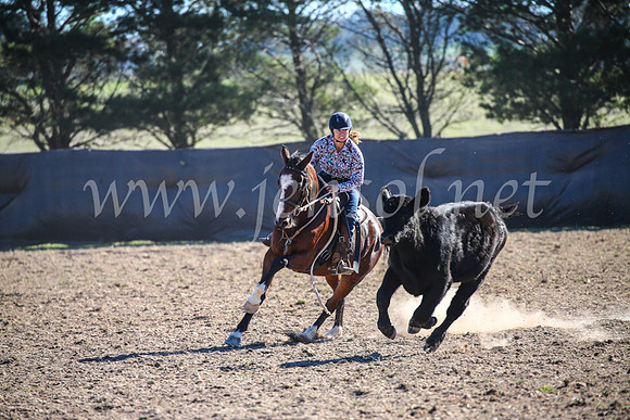 GoulburnCampdraft2017_4227