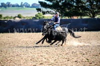 GoulburnCampdraft2017_4146