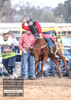 Junior Steers