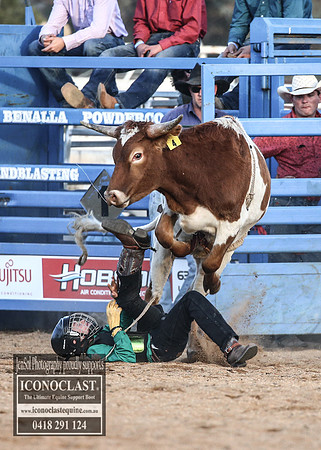 GrenfellRodeo2018_2619