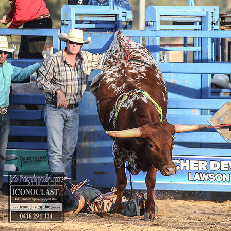 GrenfellRodeo2018_2566