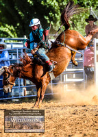 TaralgaJunior_3161