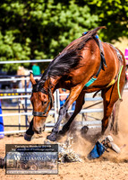 TaralgaJunior_3137