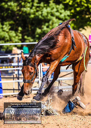 TaralgaJunior_3137