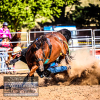 TaralgaJunior_3141