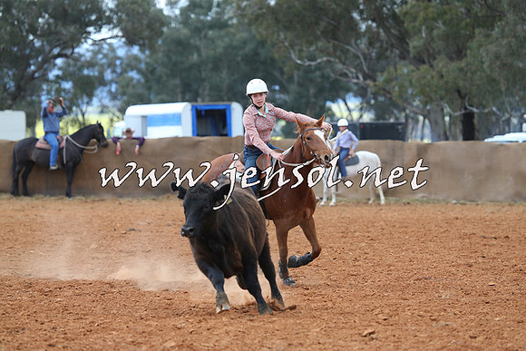 IllaboCampdraft2014_0529