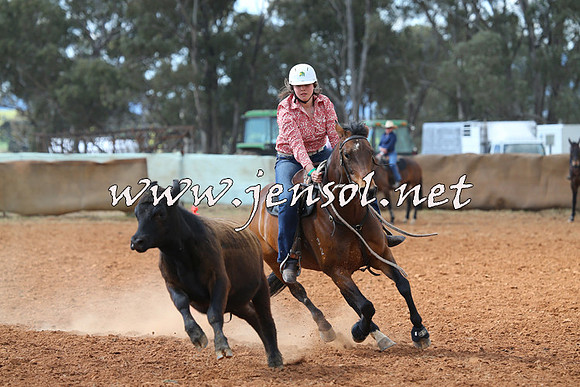 IllaboCampdraft2014_0569
