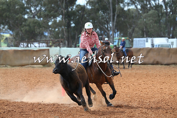 IllaboCampdraft2014_0568