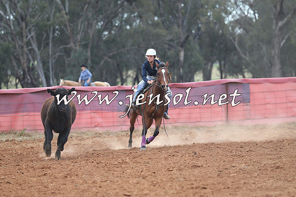 IllaboCampdraft2014_0511