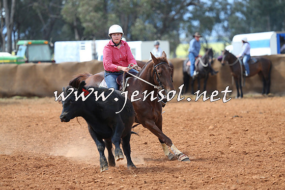 IllaboCampdraft2014_0506