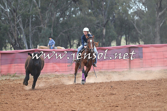 IllaboCampdraft2014_0510