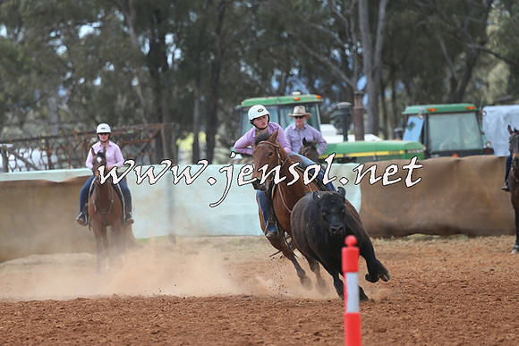 IllaboCampdraft2014_0549