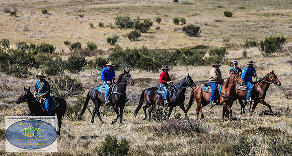 DickRoberts_BUGSKosciRally2024_0400