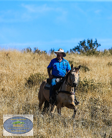 DickRoberts_BUGSKosciRally2024_0103
