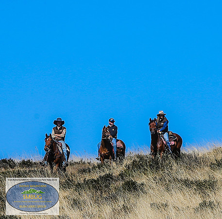 DickRoberts_BUGSKosciRally2024_0209