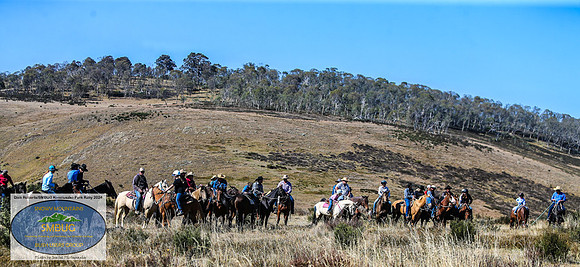 DickRoberts_BUGSKosciRally2024_0049