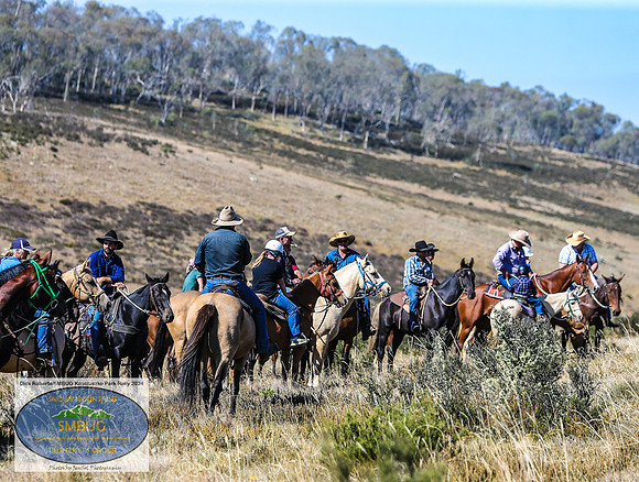 DickRoberts_BUGSKosciRally2024_0155