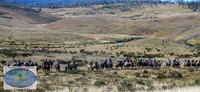 DickRoberts_BUGSKosciRally2024_0017