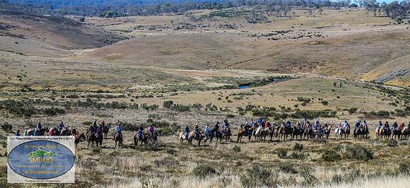 DickRoberts_BUGSKosciRally2024_0017