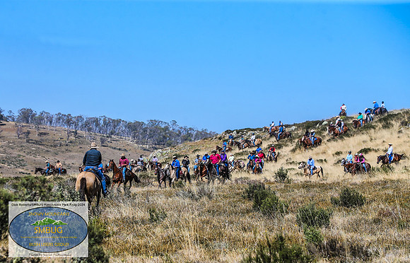 DickRoberts_BUGSKosciRally2024_0310
