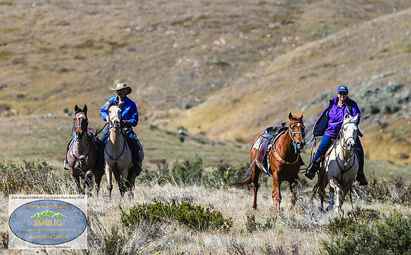 DickRoberts_BUGSKosciRally2024_0240