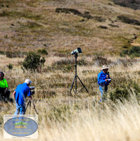DickRoberts_BUGSKosciRally2024_0038