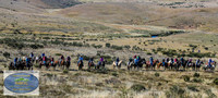 DickRoberts_BUGSKosciRally2024_0028