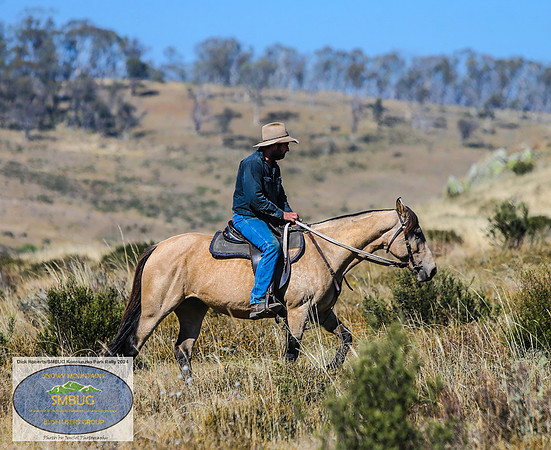 DickRoberts_BUGSKosciRally2024_0194