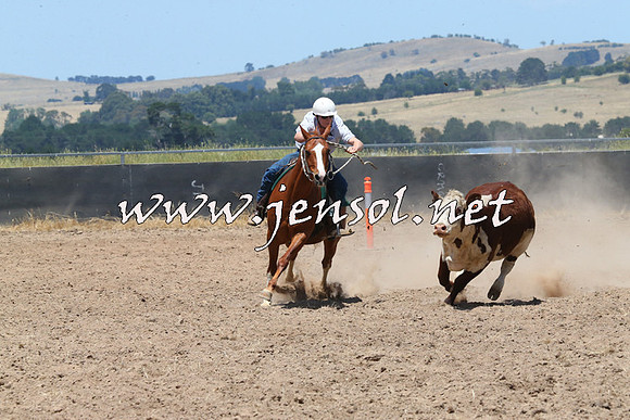 BraidwoodCampdraft2014_0953