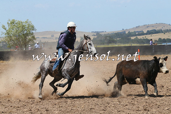 BraidwoodCampdraft2014_0743