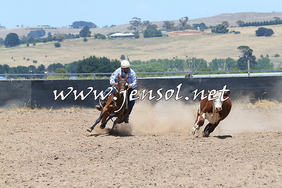 BraidwoodCampdraft2014_0999