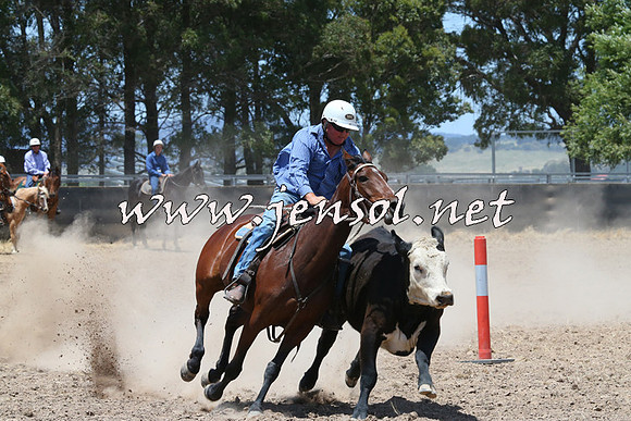 BraidwoodCampdraft2014_1053
