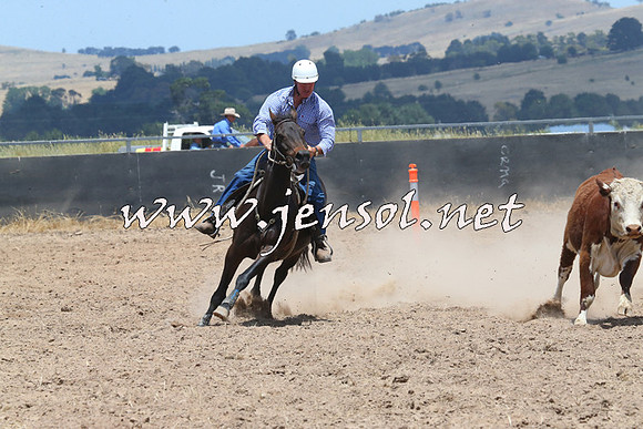 BraidwoodCampdraft2014_1072