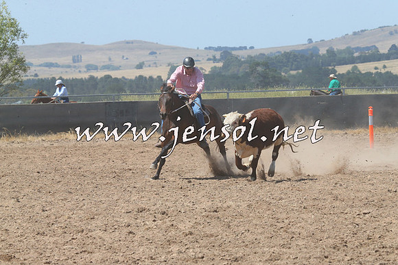 BraidwoodCampdraft2014_0669
