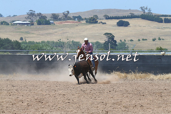 BraidwoodCampdraft2014_0718