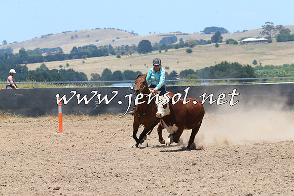 BraidwoodCampdraft2014_1003